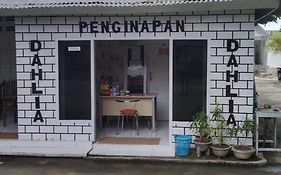 Penginapan Dahlia Luwuk